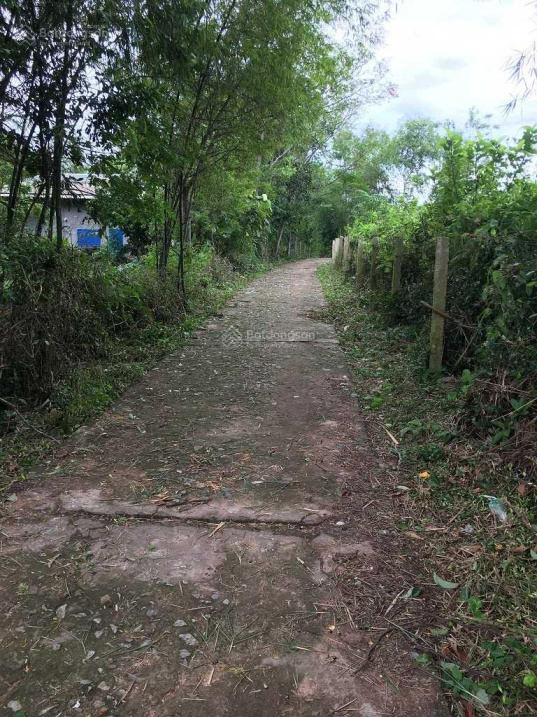 Khai xuân đầu năm chính chủ cần bán đất tại Phường Thủy Xuân, thành Phố Huế