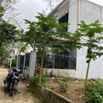  100m2 - 3