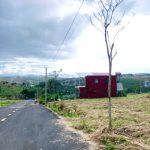  200m2 - 6
