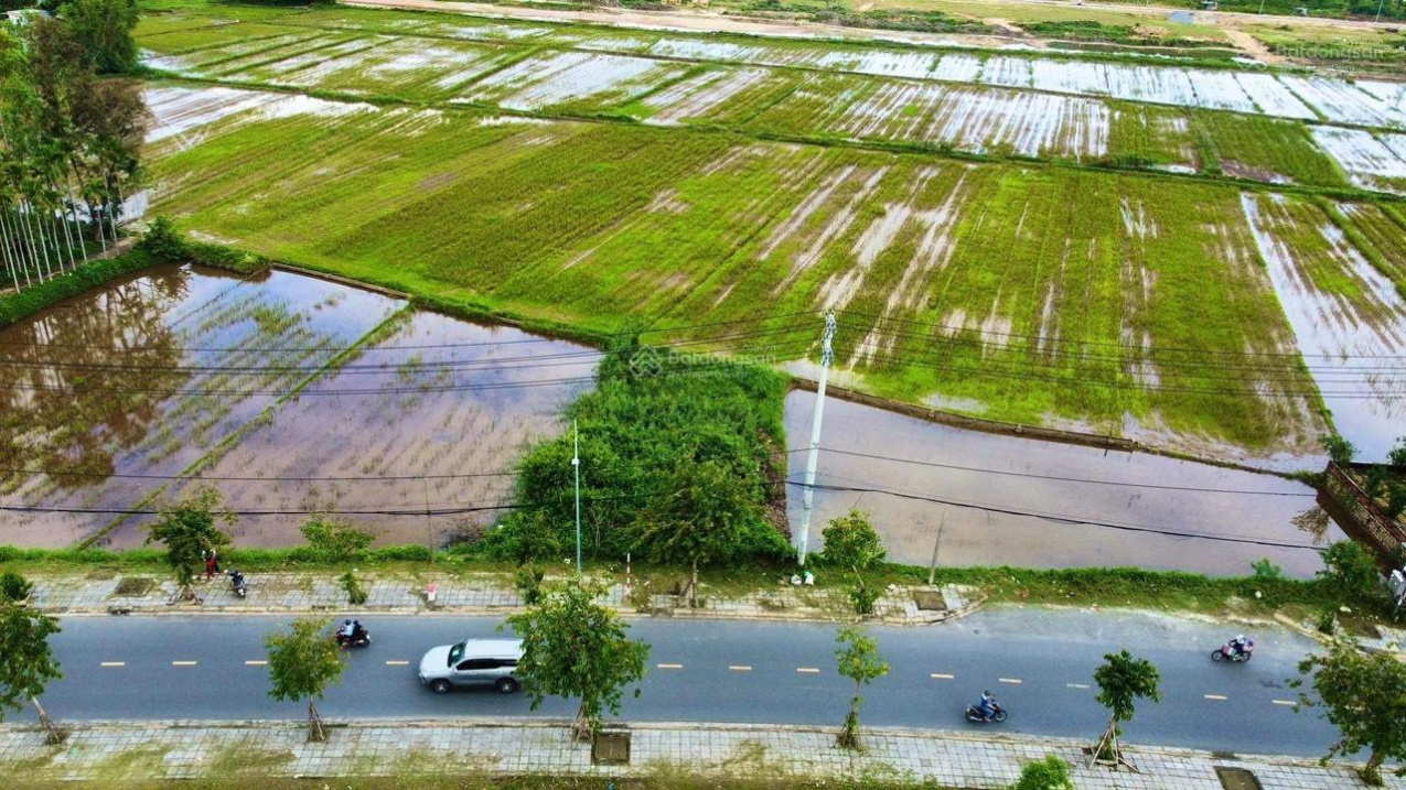 MT Hùng Vương, Hội An, view lúa sụp hầm, 0905 444 001