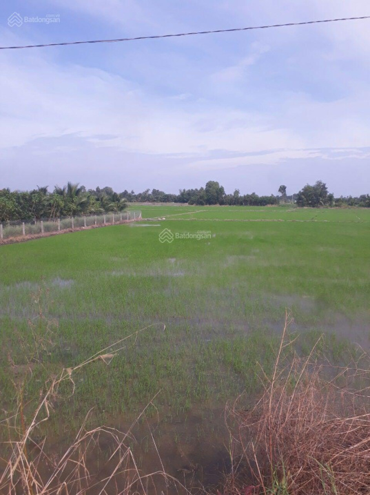 Mặt tiền 833 chỉ 3,2 tỷ/1000 đường xe container. L/h 0909 480 087 TL mạnh