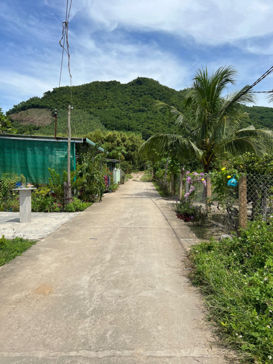 Ngay xã Diên Tân hơn 6900m2 quy hoạch đất ở - giá cực rẻ