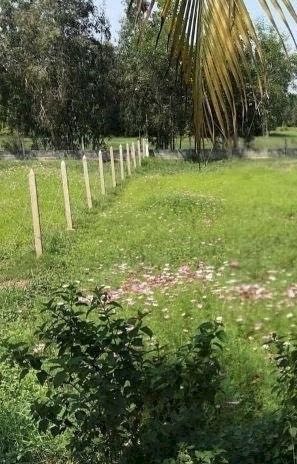 Nhà tôi muốn bán miếng đất mặt tiền đường Trần Quang Diệu thị xã La Gi