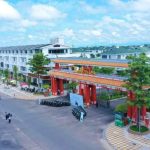  100m2 - 6