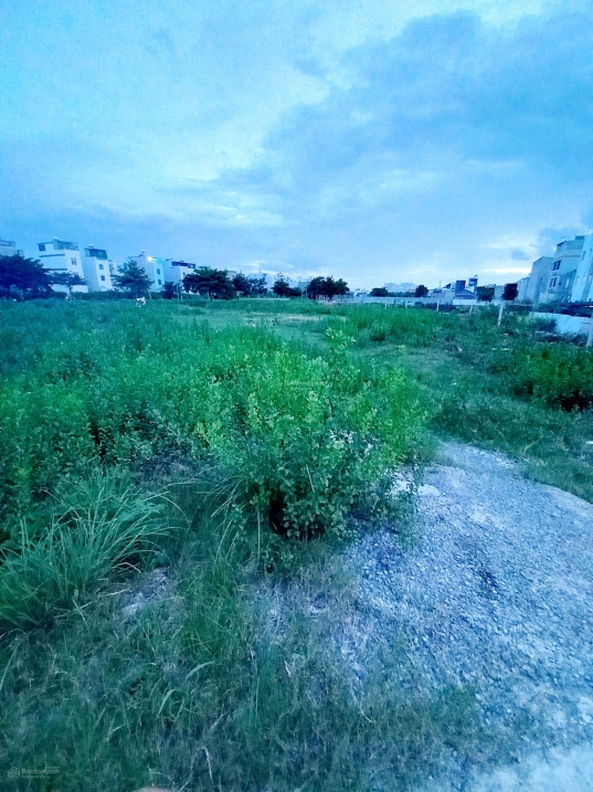 Siêu phẩm! Đất An Thới Đông Cần Giờ 10666m2 giá chỉ 10,8 tỷ