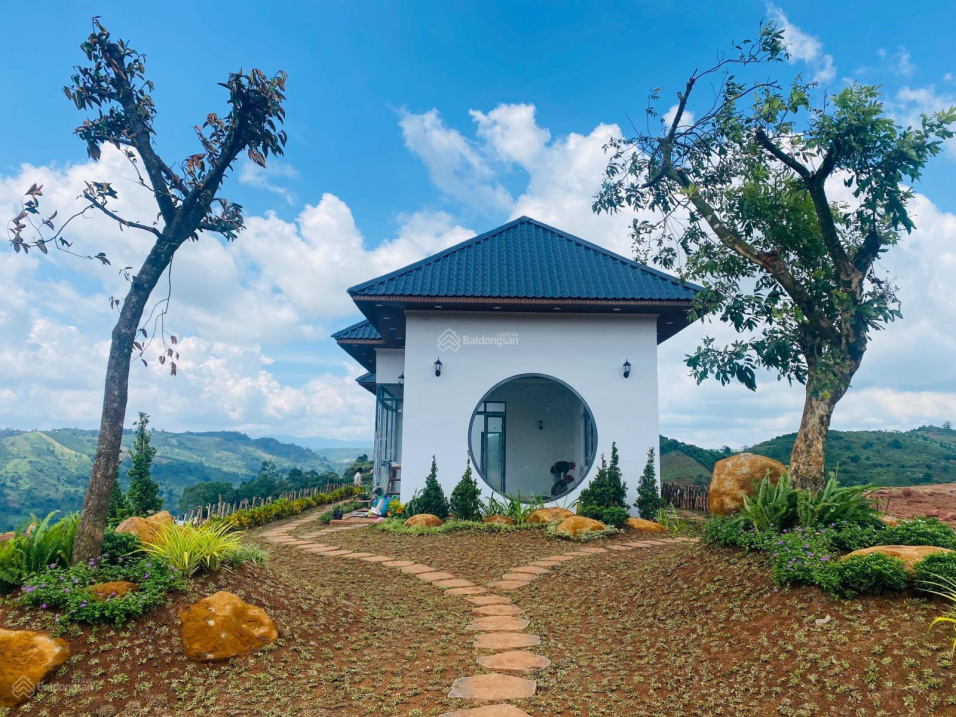 Tôi chính chủ bán đất có thổ cư ở Bảo Lộc, nói không với giá ảo để tránh mất thời gian