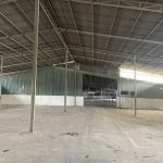  5000m2 - 3