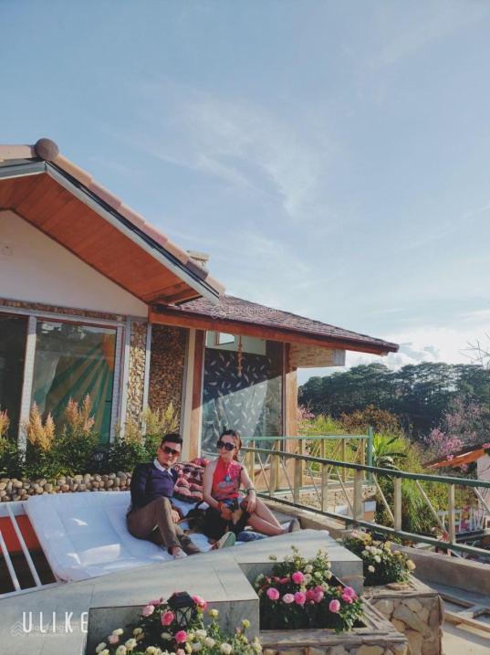 Xuất cảnh bán gấp : homestay dalat hẻm 56 Hoàng Hoa Thám f10