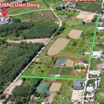  6000m2 - 6