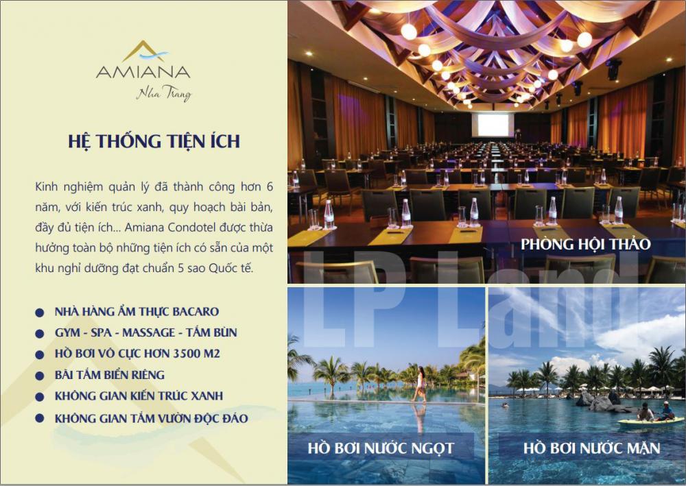 amiana condotel nha trang 1635691 3