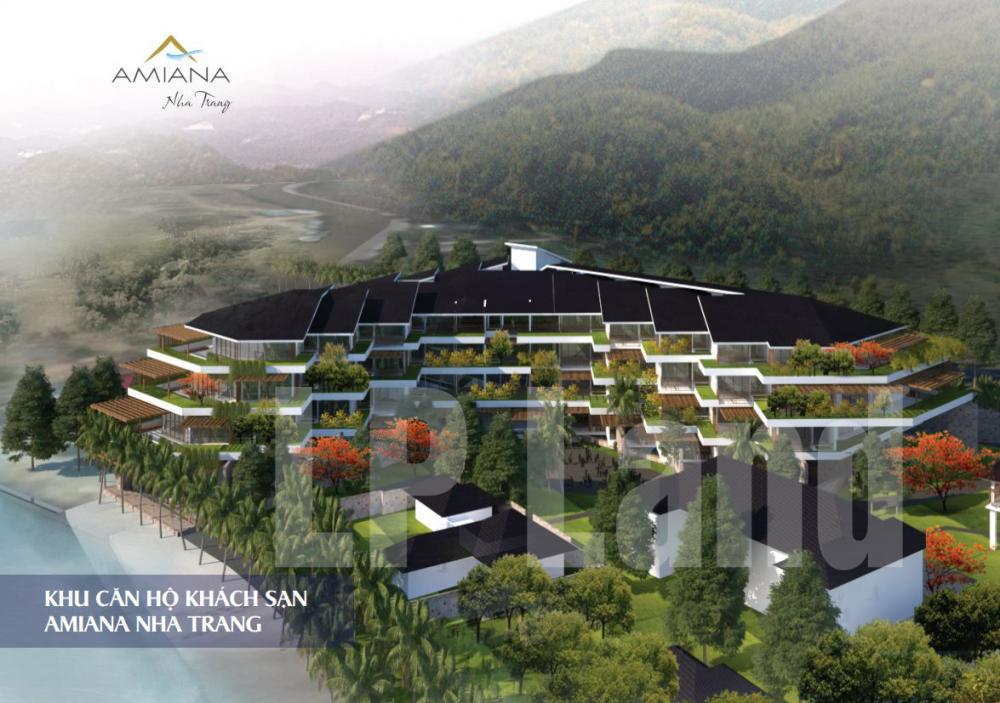 amiana condotel nha trang 1635691