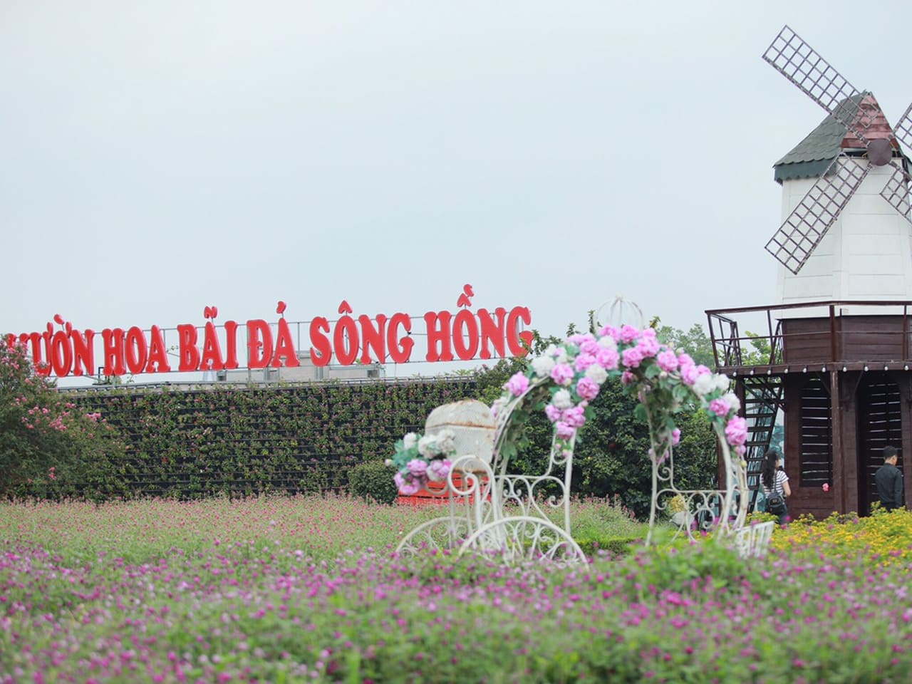 bai-da-song-hong-1