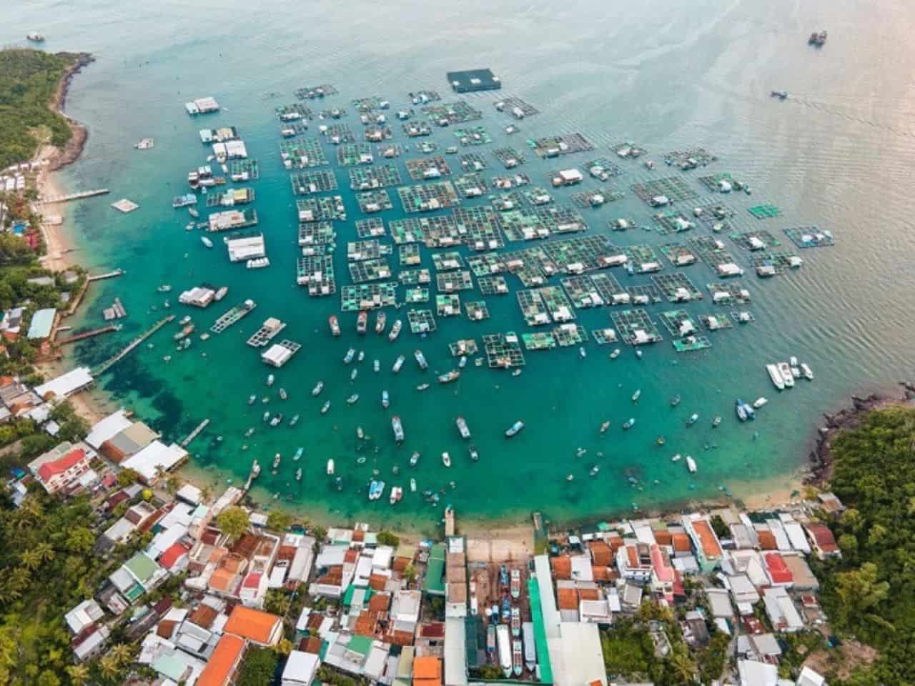 ban-dat-dao-tri-nguyen-nha-trang-0