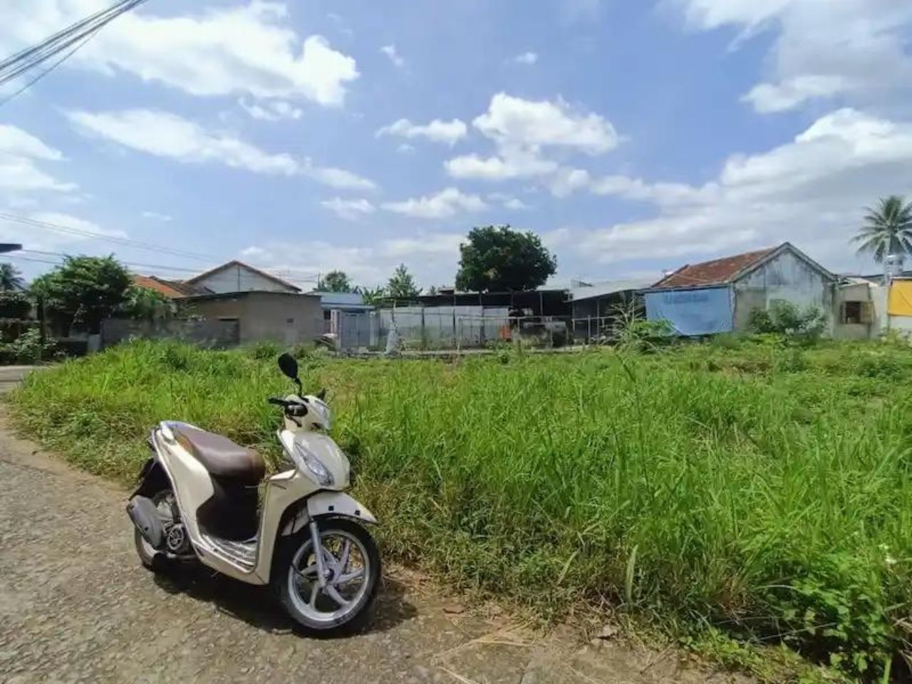 dat-nen-phu-an-nam-nha-trang-0