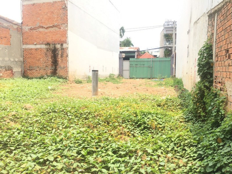 Bán gấp lô đát mặt tiền, Phan Huy Ích, p15, Q Tân Bình, 300m2, nhỉnh 71 tr/m.