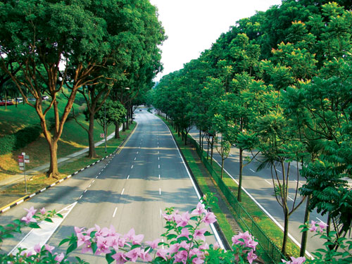 garden town 1628028 2