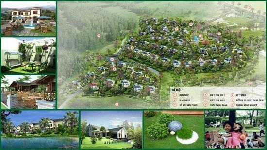 khu biet thu vuon mai 1615387