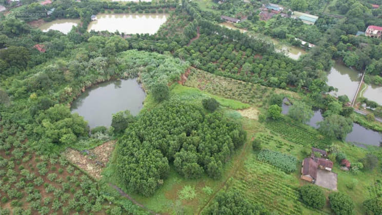 BÁN ĐẤT LƯƠNG SƠN HÒA BÌNH - 5500M CÓ 400 THỔ CƯ - GIÁ 6.X TỶ