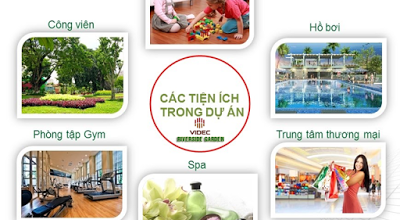 tecco thai nguyen 1625382 3