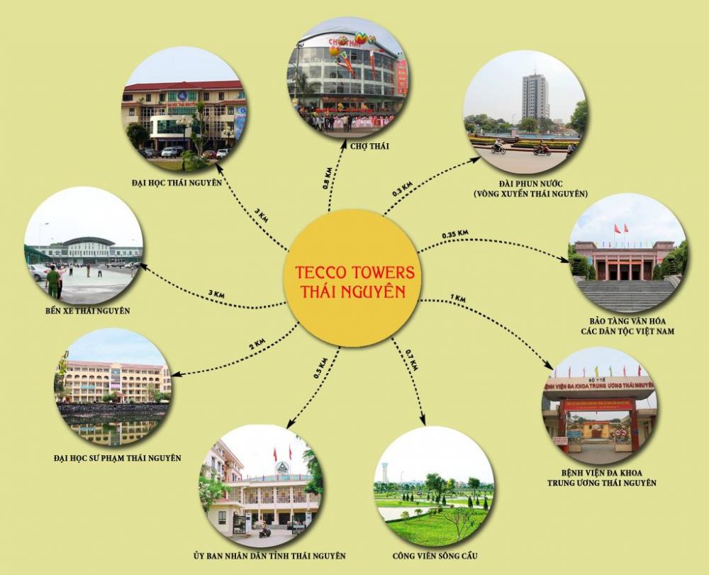 tecco thai nguyen 1625382 4