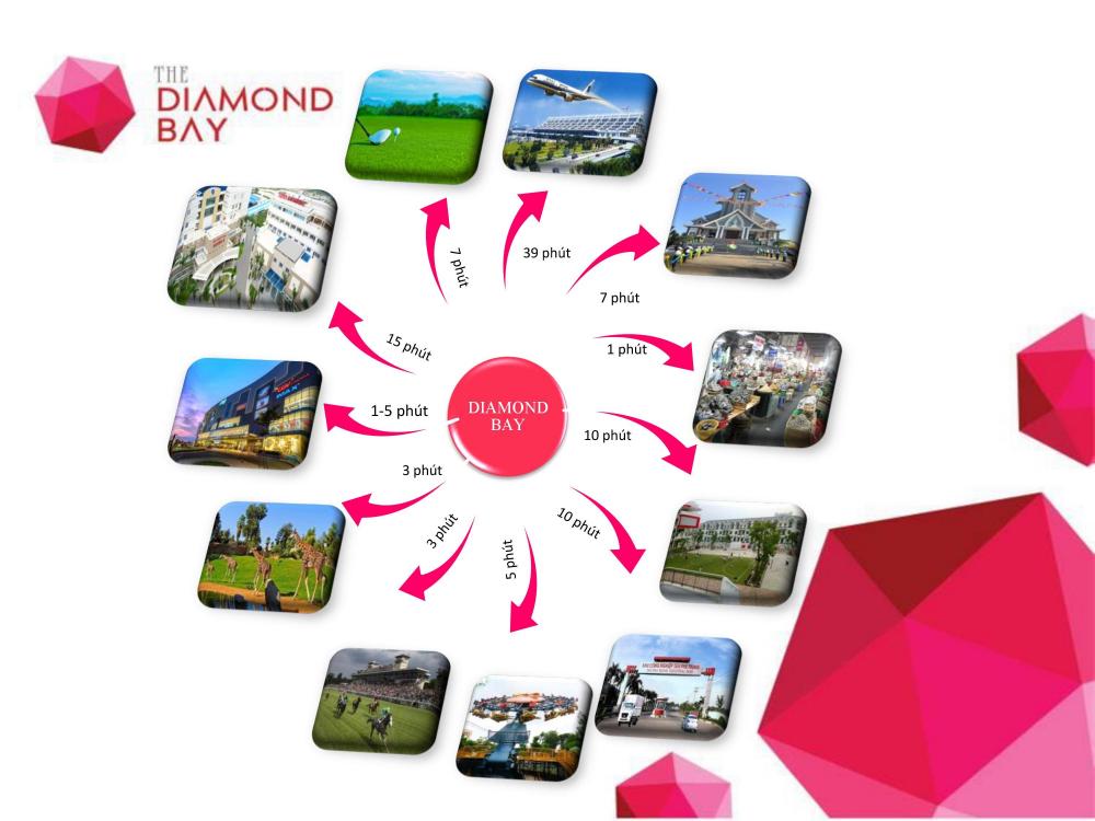 the diamond bay 1637605 8