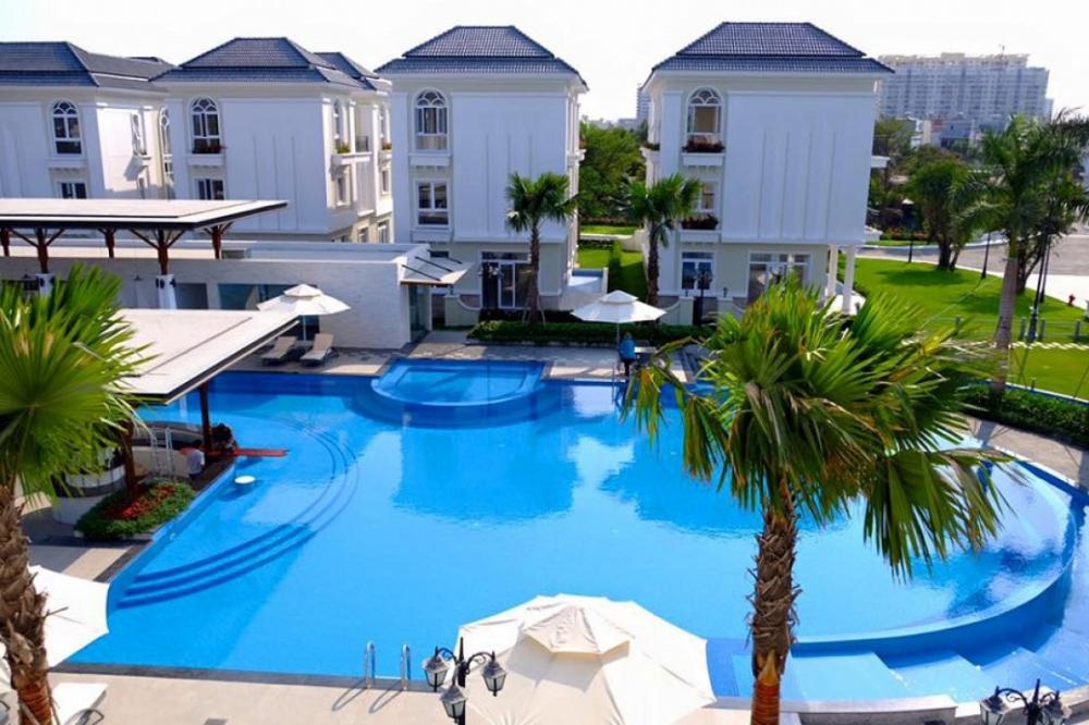 the venica 1626602 7