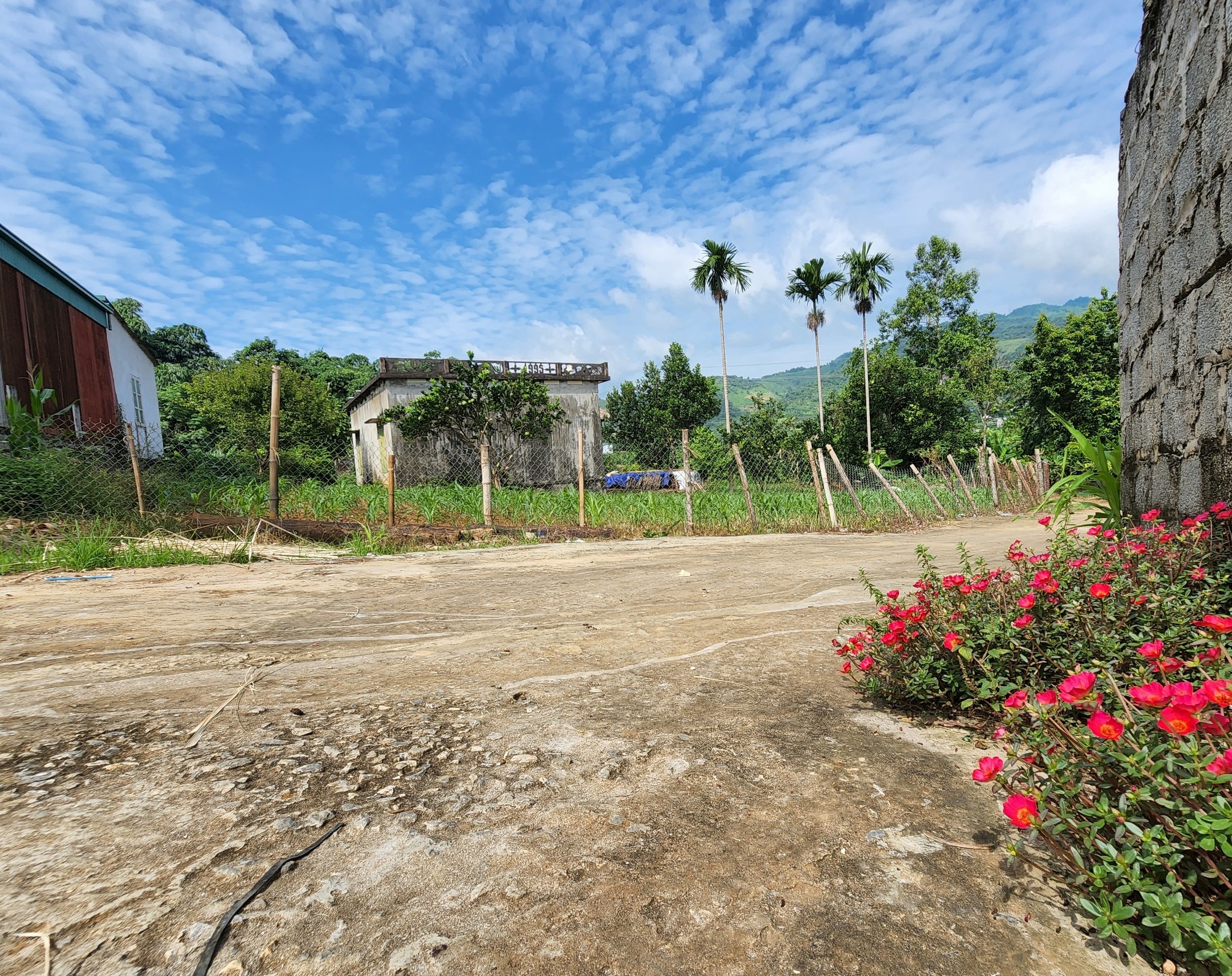 Cần BÁN lô đất 1883m2 tặng sẵn nhà tại Tây Phong, Cao Phong mà giá chỉ hơn 900k/m