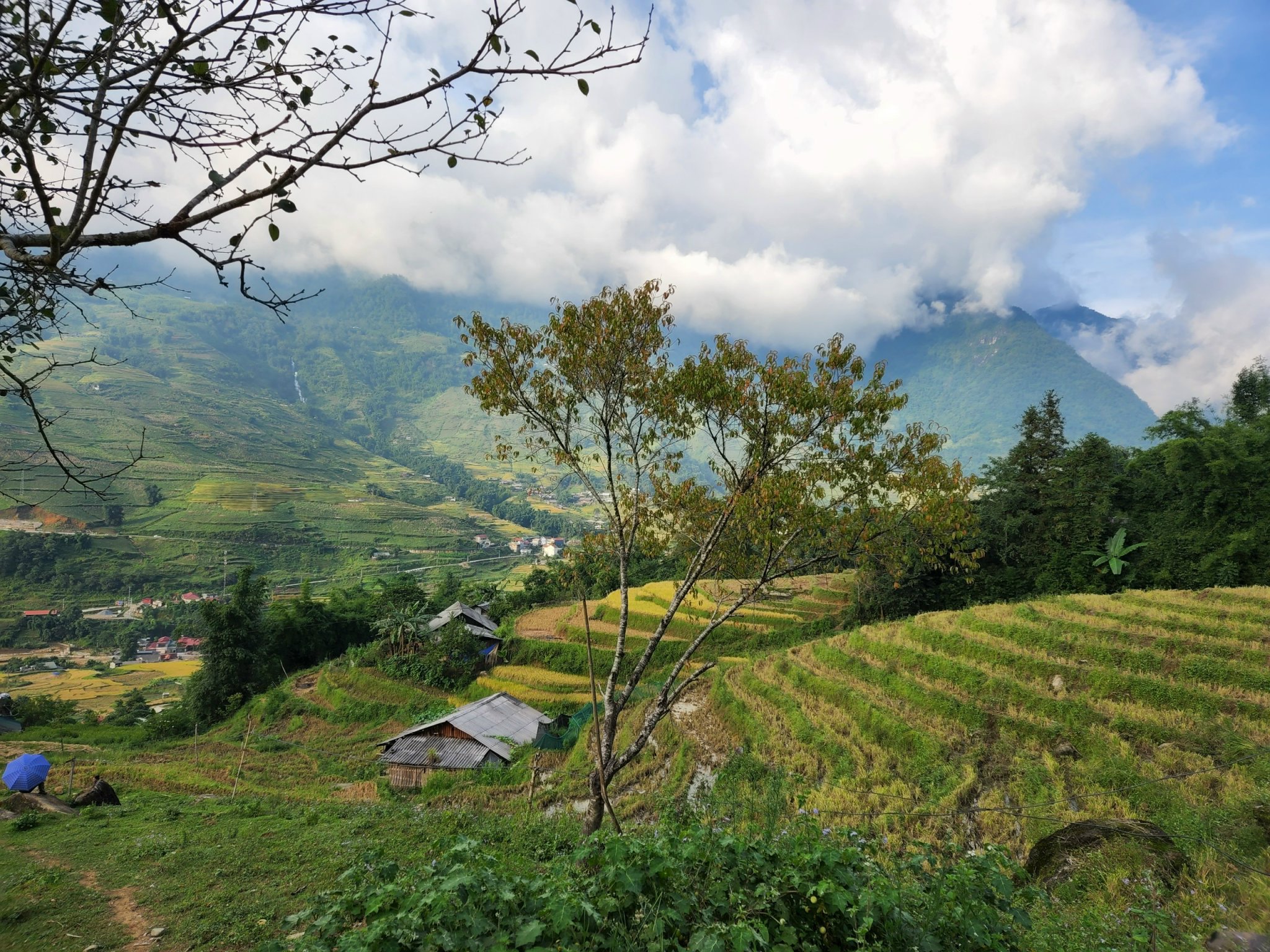 Đất nền Tả Van-Sapa 1352m2,view ruộng bậc thang, cách Trung tâm Sapa 10km, làm homestay
