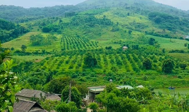 Cần Bán Nhanh bán Gấp Siêu Phẩm bám hồ 2,2ha thổ cư cực đẹp giá cực rẻ chỉ hơn 100k/m2