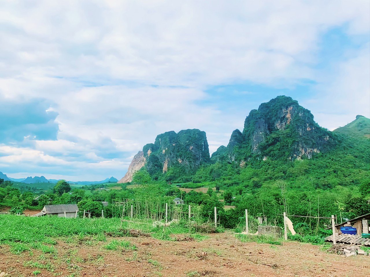 Cần bán nhanh mảnh đất tại Tân Phong, Cao Phong 4000m ont lên tới 1300m, còn lại là đất trồng cây lâu năm
