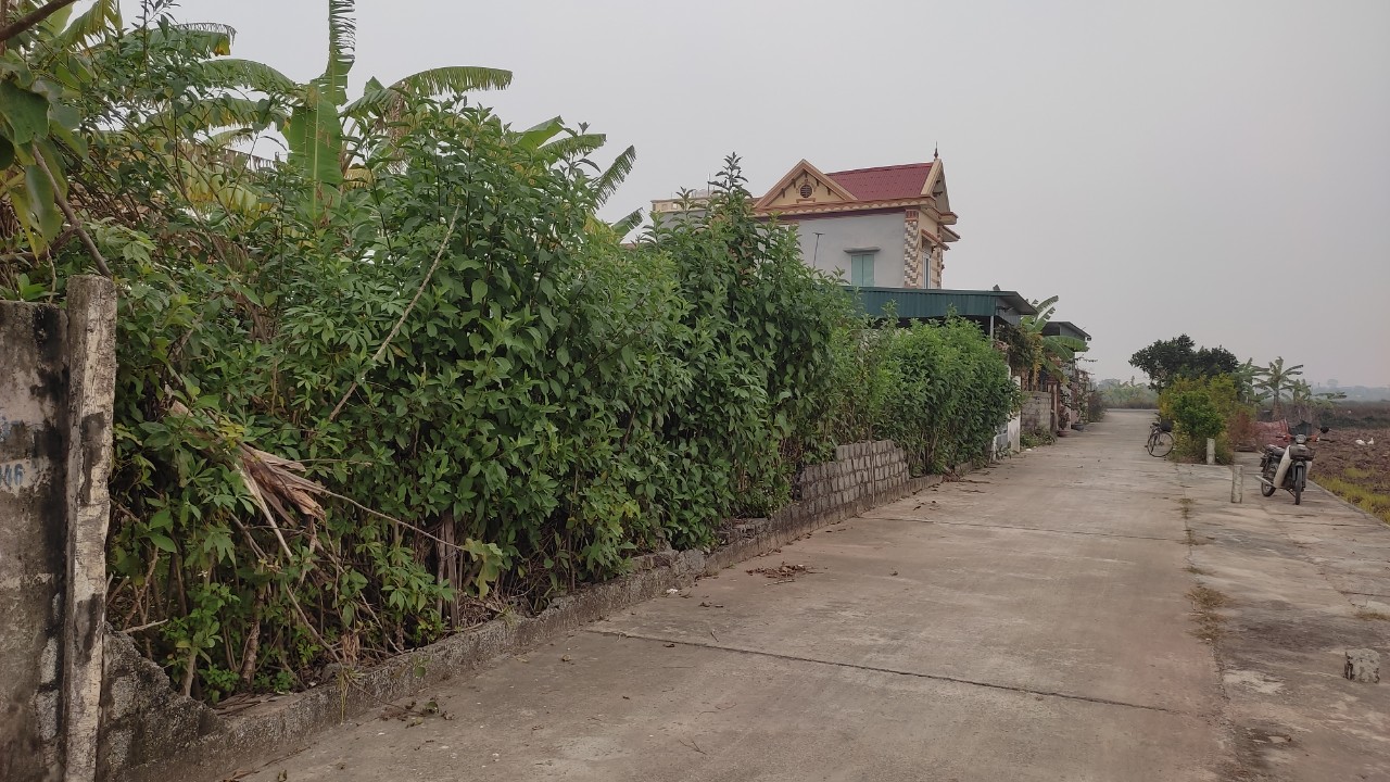 ✅ ✅ CẦN BÁN SIÊU PHẨM ĐẤT TÁI ĐỊNH CƯ CẦU THÁI HÀ - TIẾN ĐỨC - HUYỆN HƯNG HÀ - THÁI BÌNH ĐÔNG - ĐÔNG TRUNG