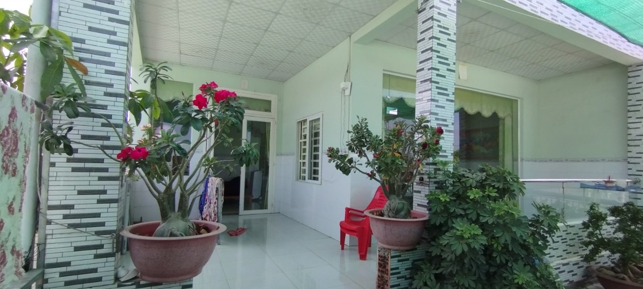 CHÍNH CHỦ CẦN BÁN ĐẤT TẶNG NHÀ.