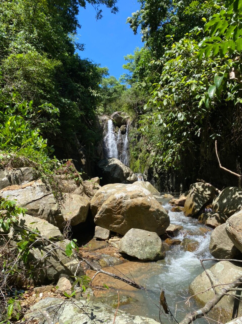 Ngộp bank cần ra nhanh lô đất DT 60ha - giá lao dốc chỉ còn 170 triệu/ha