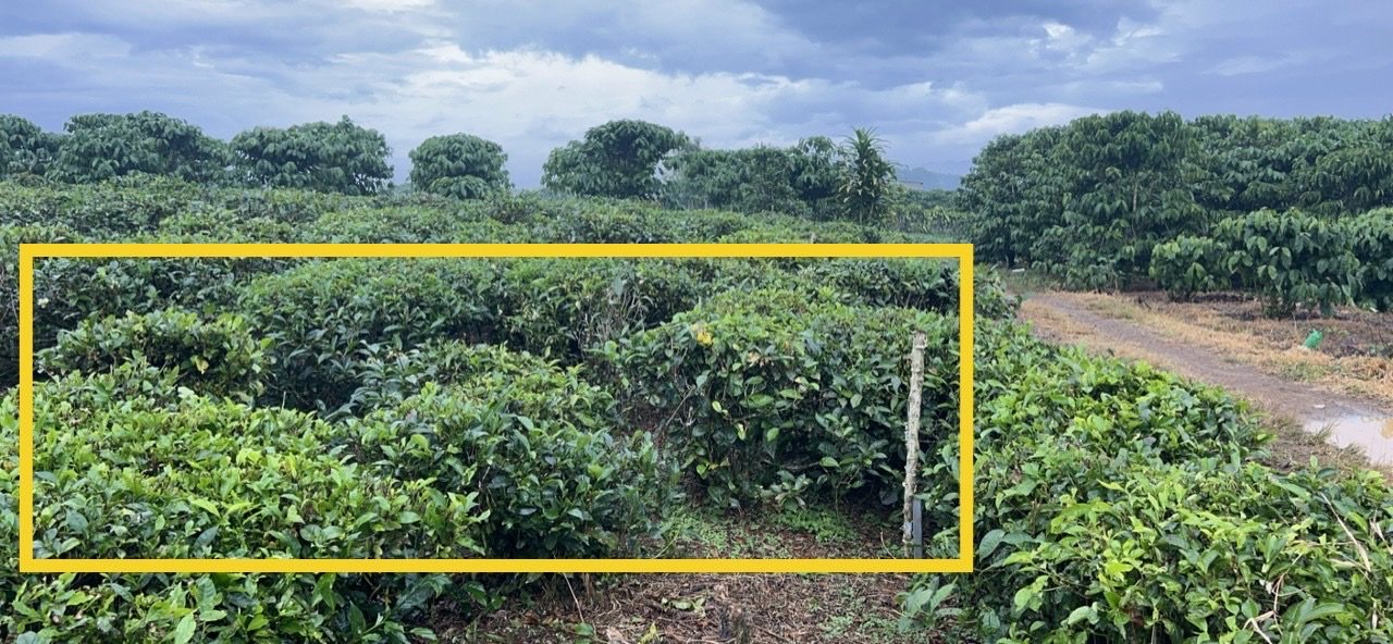 Cuối năm cần ra gấp lô đất mặt tiền đường, View sông tại TT Lộc Thắng, Bảo Lâm