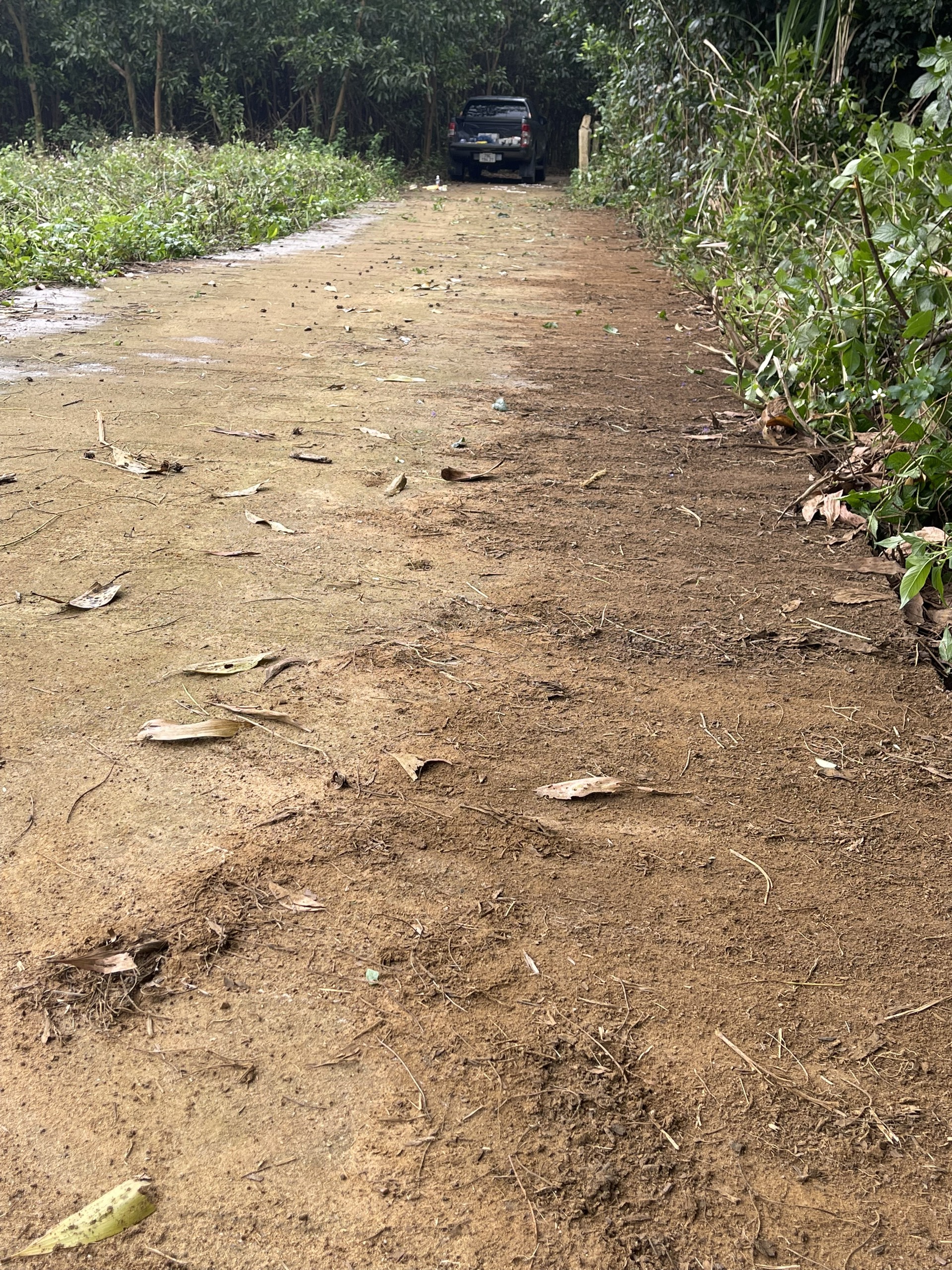 CHÍNH CHỦ BÁN 4 LÔ ĐẤT LIỀN KỀ SỔ HỒNG RIÊNG GIÁ RẺ TT SÔNG HINH