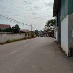  250m2 - 5