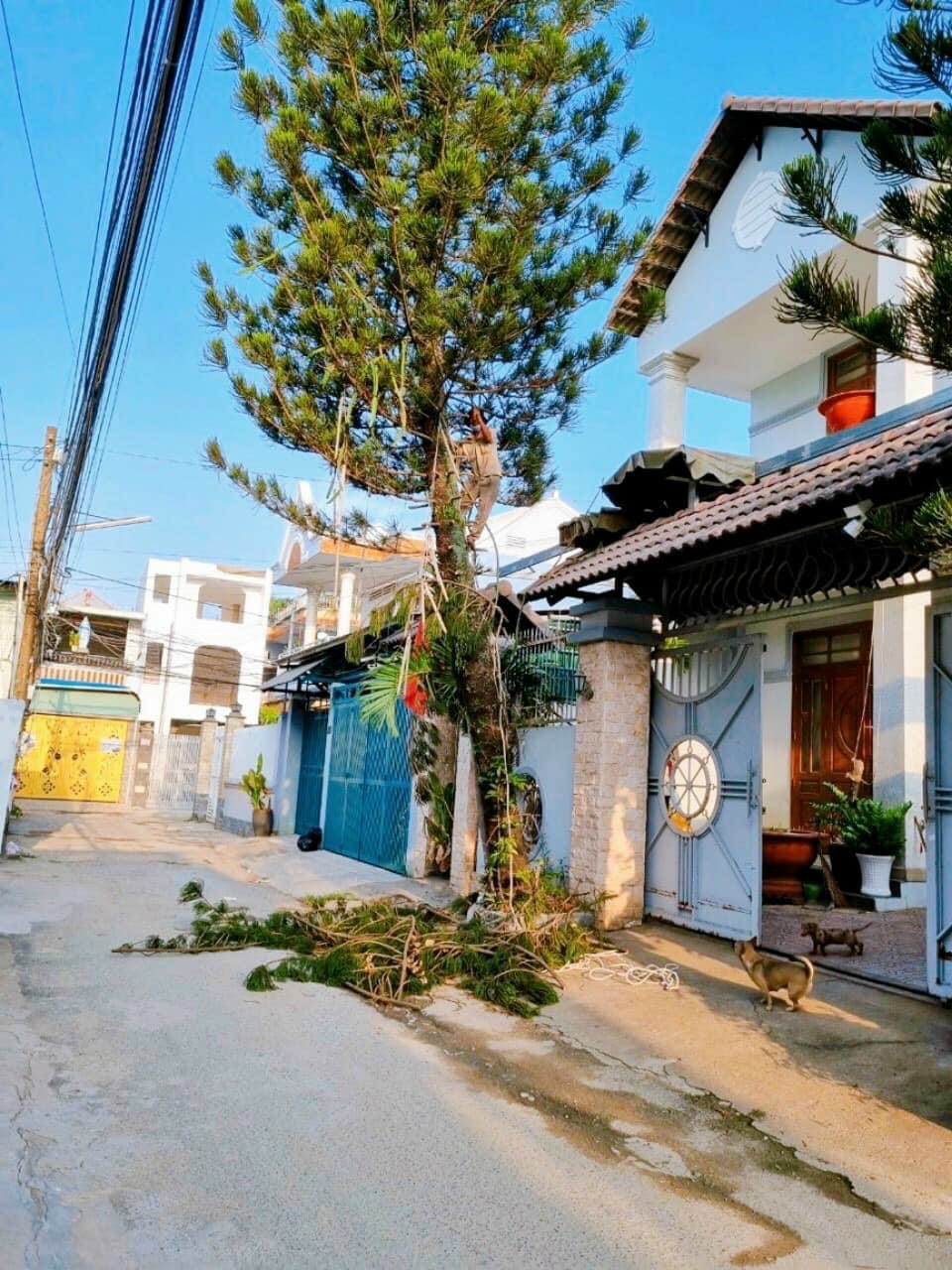 bán lô đất biệt thự mặt tiền đường phùng hưng ngang 20m đồng nai