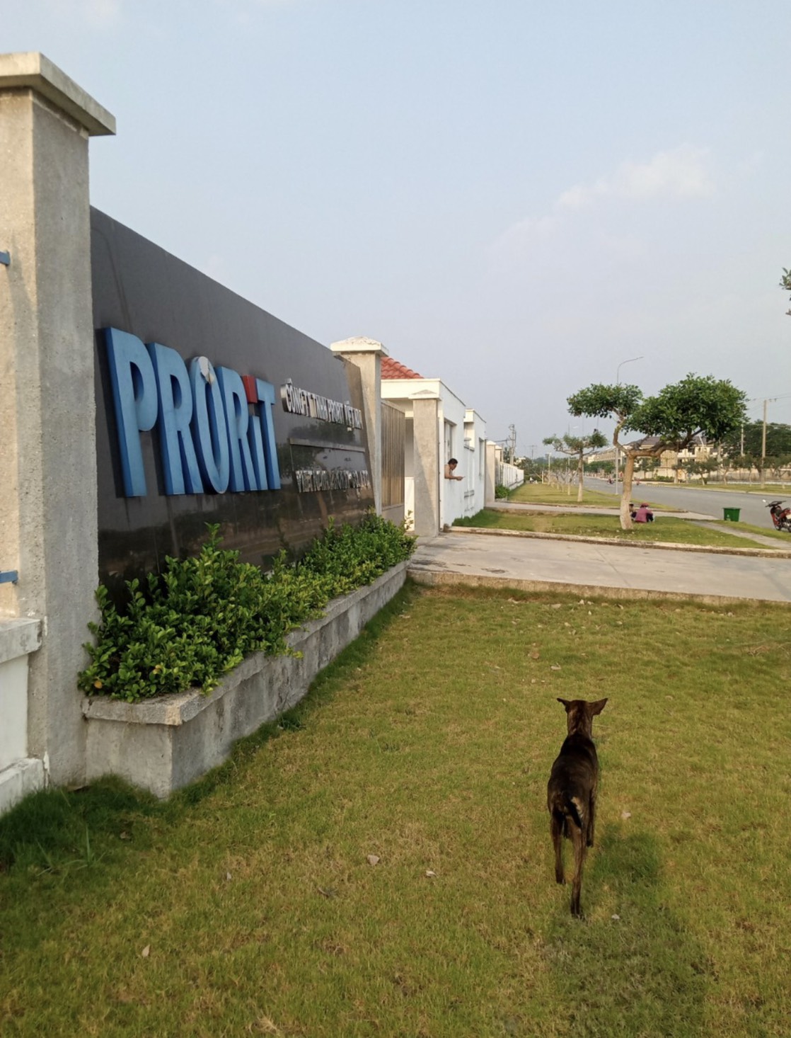 bán lô đất biệt thự đ2d võ thị sáu biên hòa đồng nai 8x18 giá ngộp