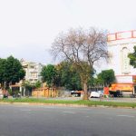 100m2 - 4