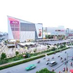 100m2 - 1