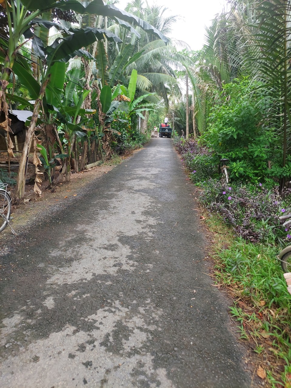 CHÍNH CHỦ CẦN BÁN GẤP LÔ ĐẤT TÂM HUYẾT VỊ TRÍ MẶT ĐẸP.