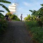  700m2 - 5