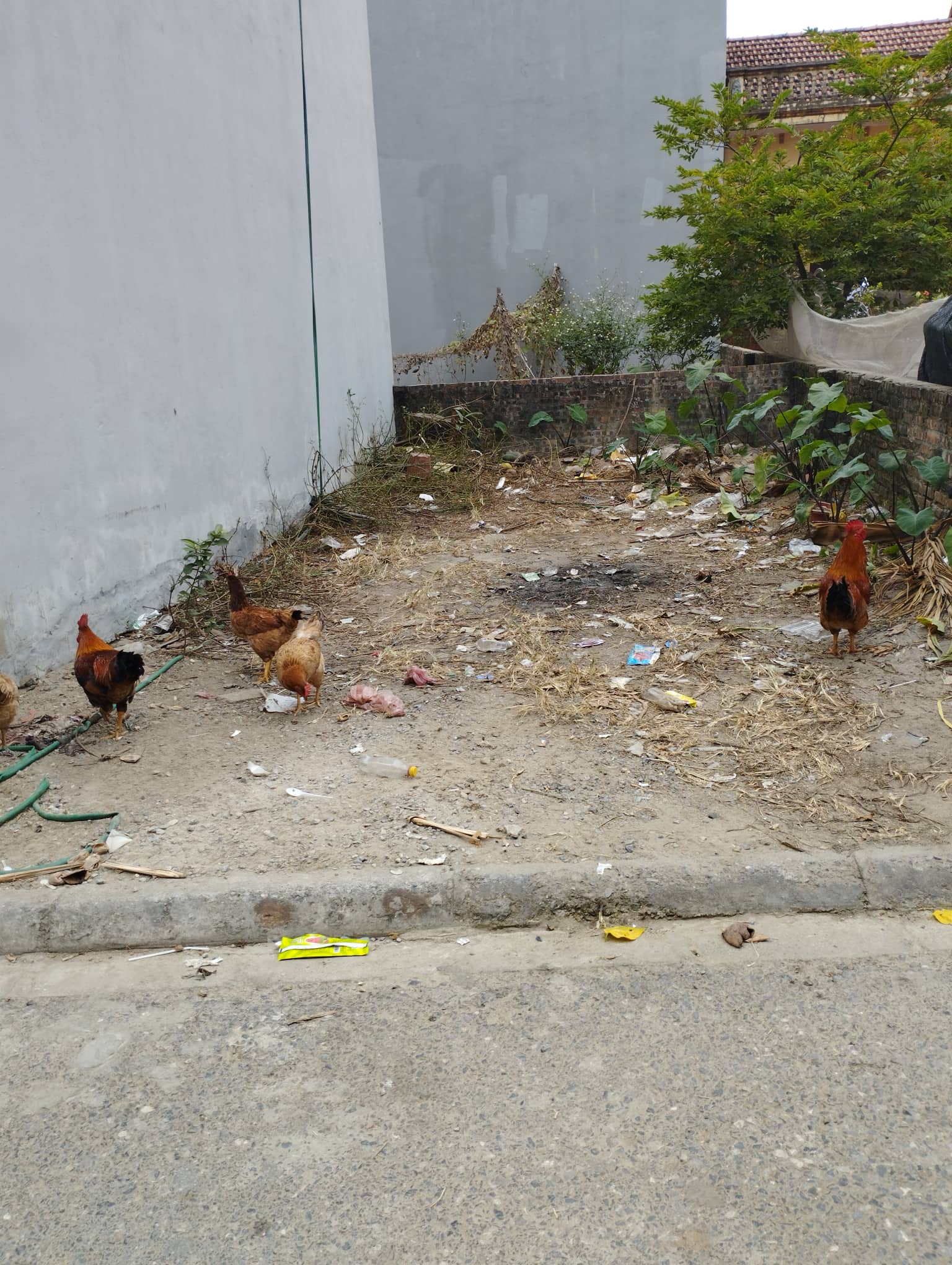 SIÊU RẺ- HIẾM! Bán đất Đông Dư, Gia Lâm, ô tô đỗ cửa, 35m2, chỉ 1.7tỷ