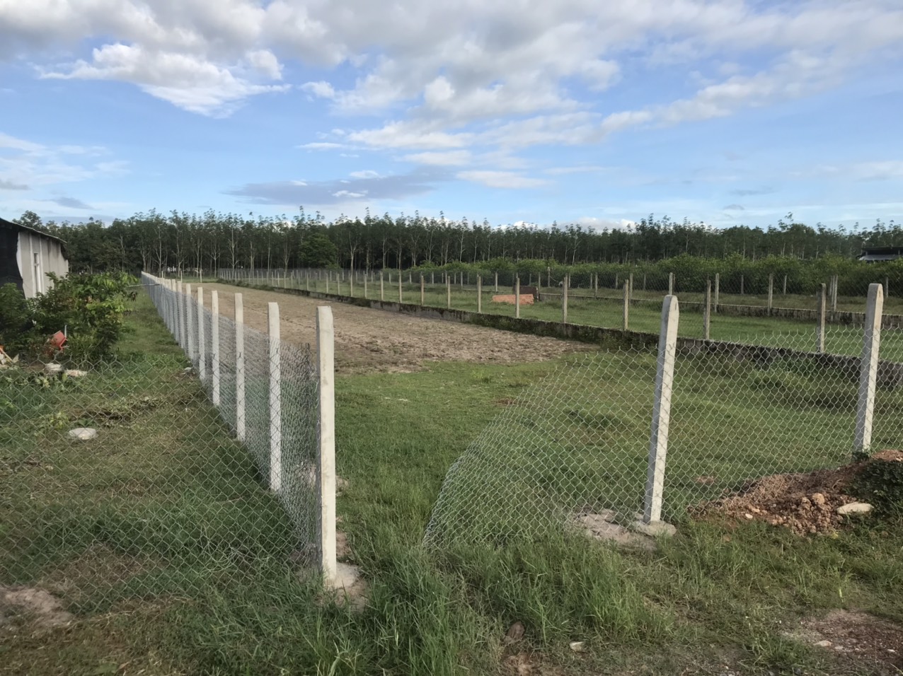 Đầu năm mới, chính chủ bán giá ưu đãi lô đất nền thổ cư (sổ hồng) tại ấp Suối Cao B