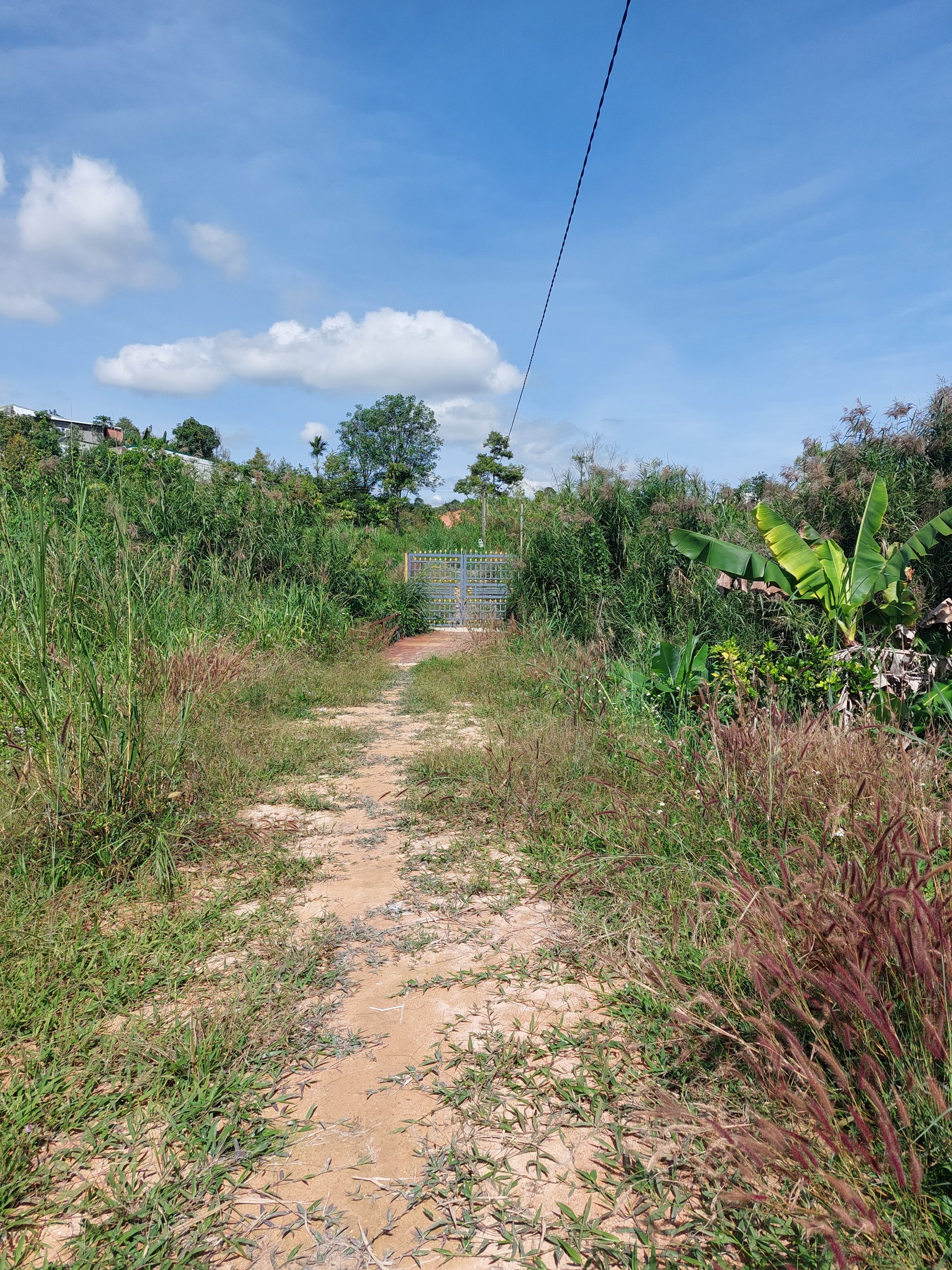 CHÍNH CHỦ BÁN GẦN 1 HA ĐẤT SIÊU ĐẸP ĐỐI DIỆN KDL HỒ LỘC NAM, BẢO LỘC, LÂM ĐỒNG.