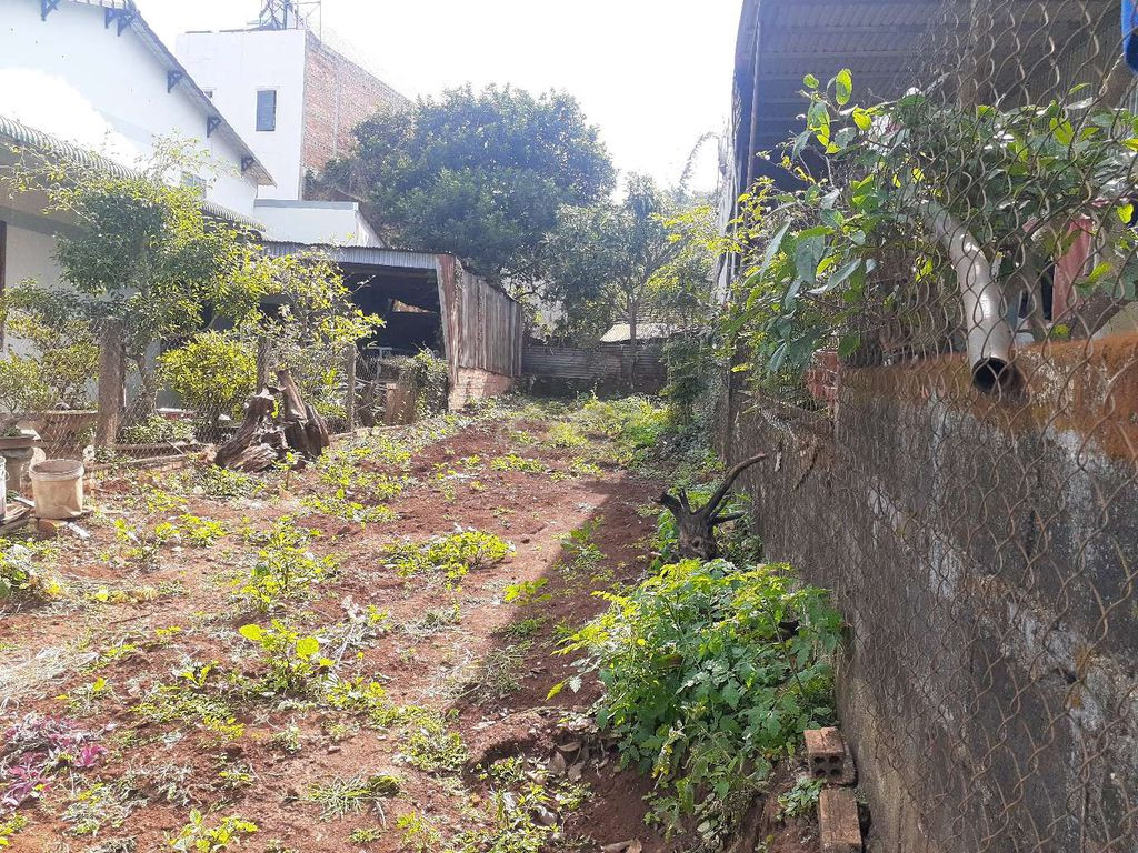 CHÍNH CHỦ CẦN BÁN GẤP LÔ ĐẤT TÂM HUYẾT VỊ TRÍ ĐẸP GIÁ ĐẦU TƯ.