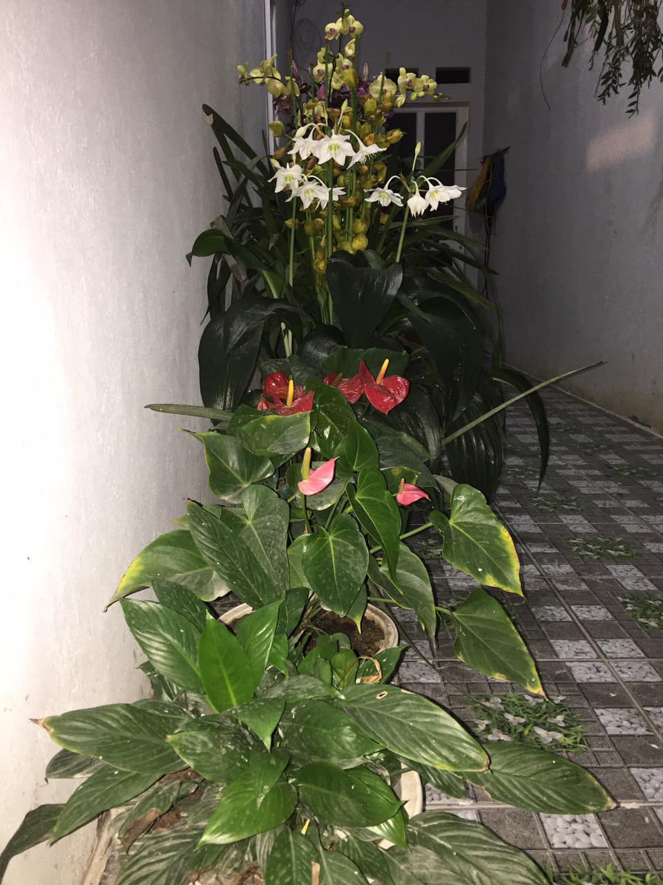 Bán nhà ở tổ dân phố 10 phường Tân Thanh, thành phố Điện Biên Phủ