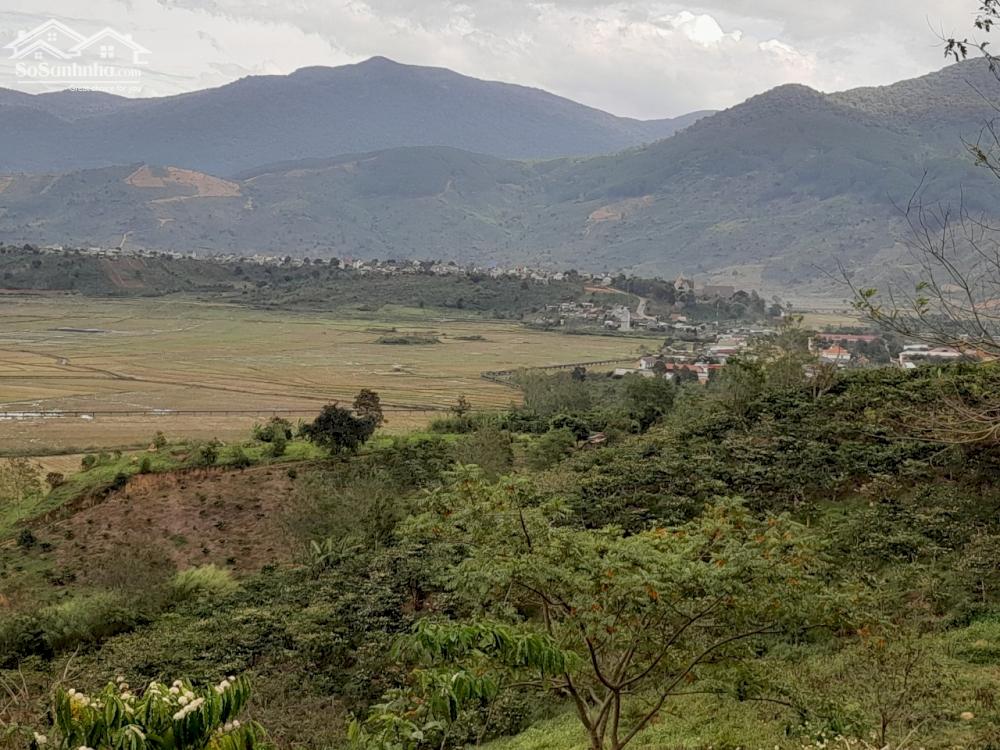 CHÍNH CHỦ CẦN TIỀN BÁN GẤP LÔ ĐẤT TẠI KHU VỰC HUYỆN DI LINH - LÂM ĐỒNG