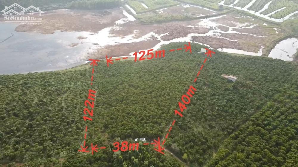 CHÍNH CHỦ CẦN BÁN NHANH LÔ ĐẤT NGAY LỘC PHÚ - BẢO LÂM - LÂM ĐỒNG