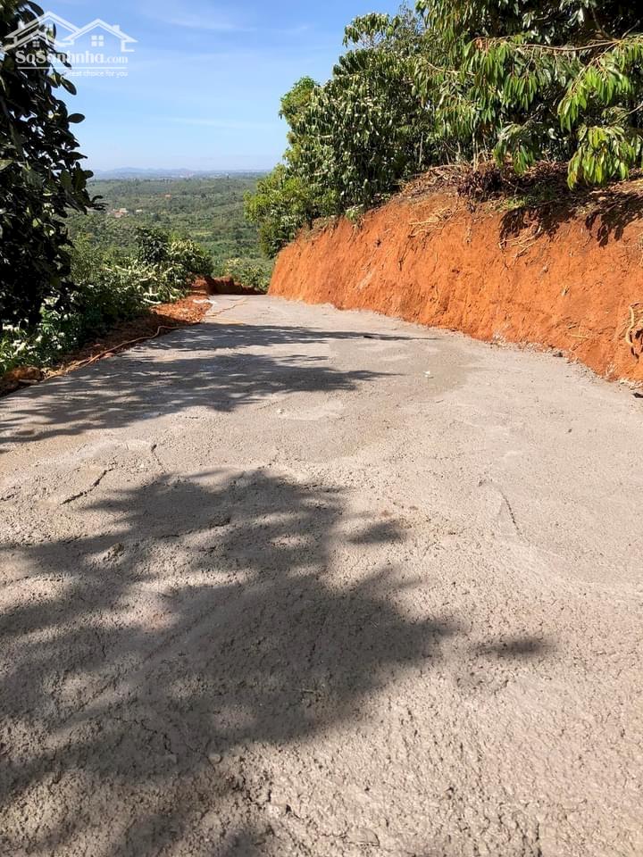 CHÍNH CHỦ CẦN BÁN LÔ ĐẤT NGAY ĐINH TRANG HÒA - DI LINH - LÂM ĐỒNG